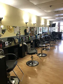 Photo Lemon Tree Hair Salon Deer Park / N. Babylon