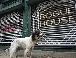 Rogue House Salon