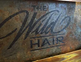 The Wild Hair Salon and Spa