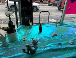 Mermaid Spa