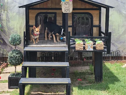 Photo Happy Hounds Grooming