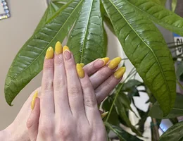 H&L Nails Spa