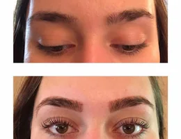 BERRY BROWS INC