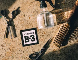 Studio B-3