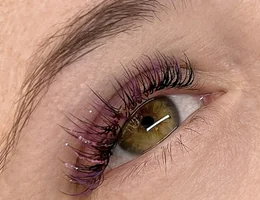 Un-Stripped Lash + Brow Bar