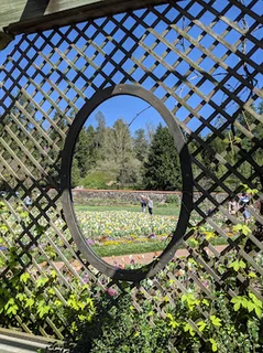 Photo Biltmore Walled Garden