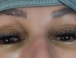 Plush Lash and Brow (located in Issaquah)