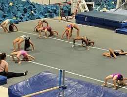 Gymnastics Unlimited