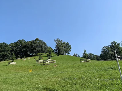 Photo Biltmore Walled Garden