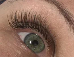 Plush Lash and Brow (located in Issaquah)